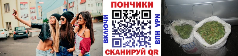 Купить наркотики сайты Медвежьегорск KRAKEN ссылки  Меф  Галлюциногенные грибы  МАРИХУАНА  Гашиш  Cocaine 
