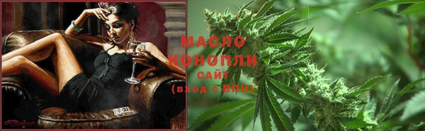 spice Бородино