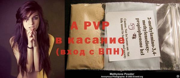 spice Бородино