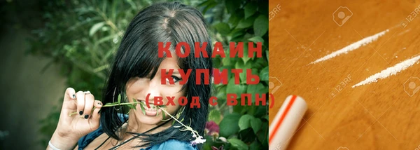 мдпв Бронницы