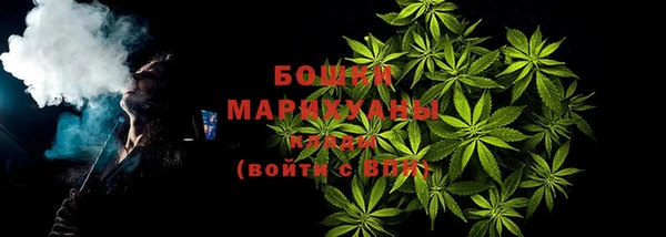spice Бородино
