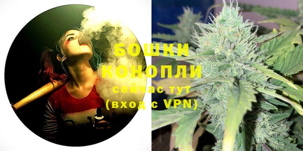 мдпв Бронницы