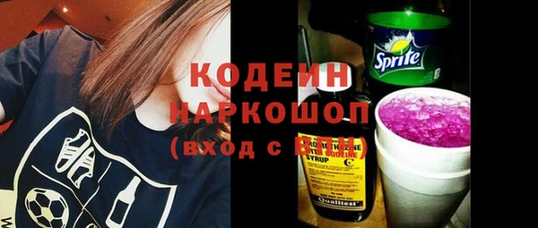 spice Бородино