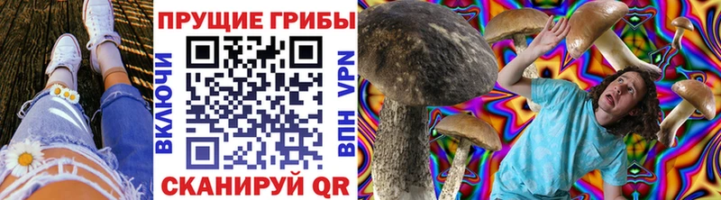 Псилоцибиновые грибы прущие грибы  как найти наркотики  kraken tor  Медвежьегорск 
